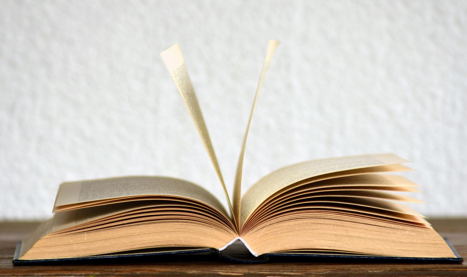 An open book beside a journal and pen with the draft of Man Weight, symbolizing better bad choices and emotional growth in Maryland and DC.