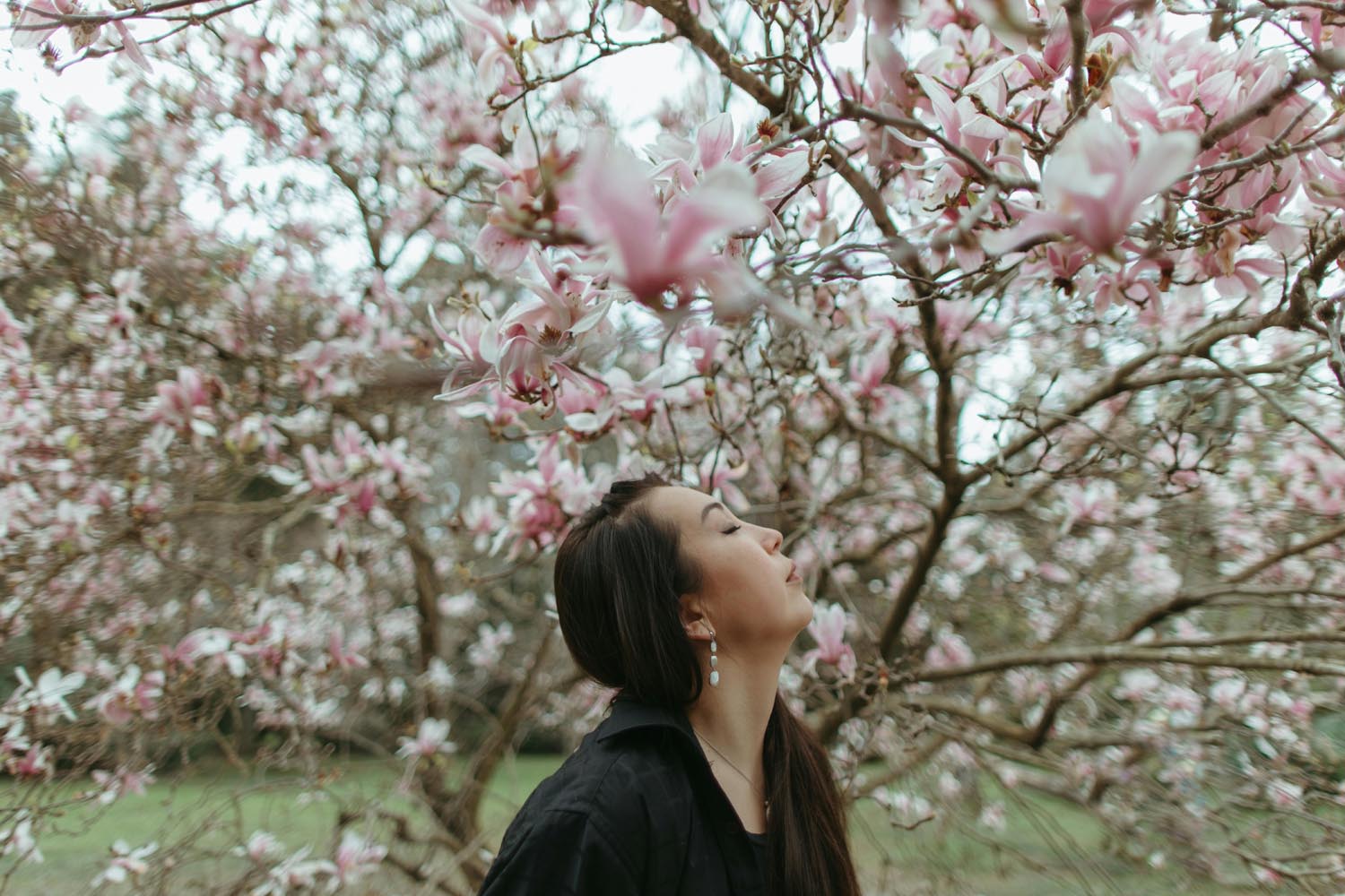 Woman being present observing a fly resting on a tree with spring sunlight streaming in, symbolizing unexpected connection and emotional reflection in Maryland and DC.