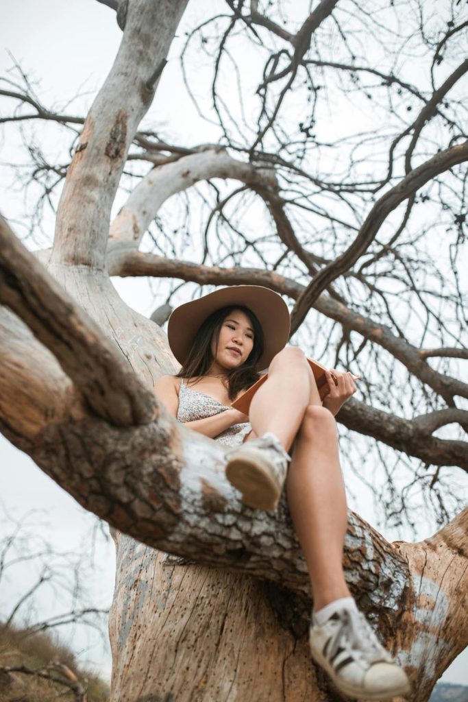 A person sitting in a tree thanks to the nice weather on a hot day, symbolizing emotional connection and a sense of belonging in Maryland and DC