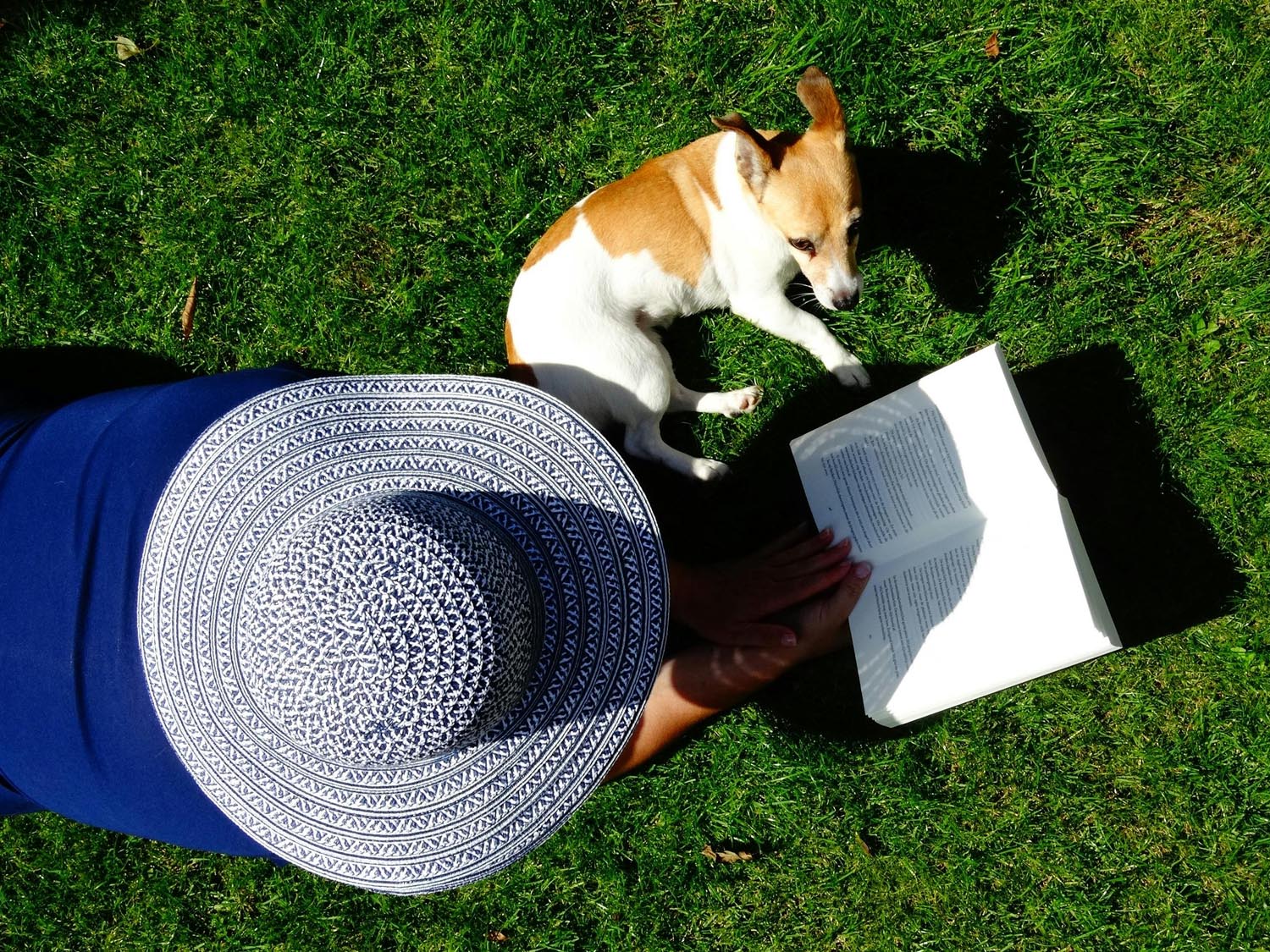Woman in New England healing from surgery and reading with her dog, symbolizing emotional development and gender awareness in therapy in Maryland and DC.
